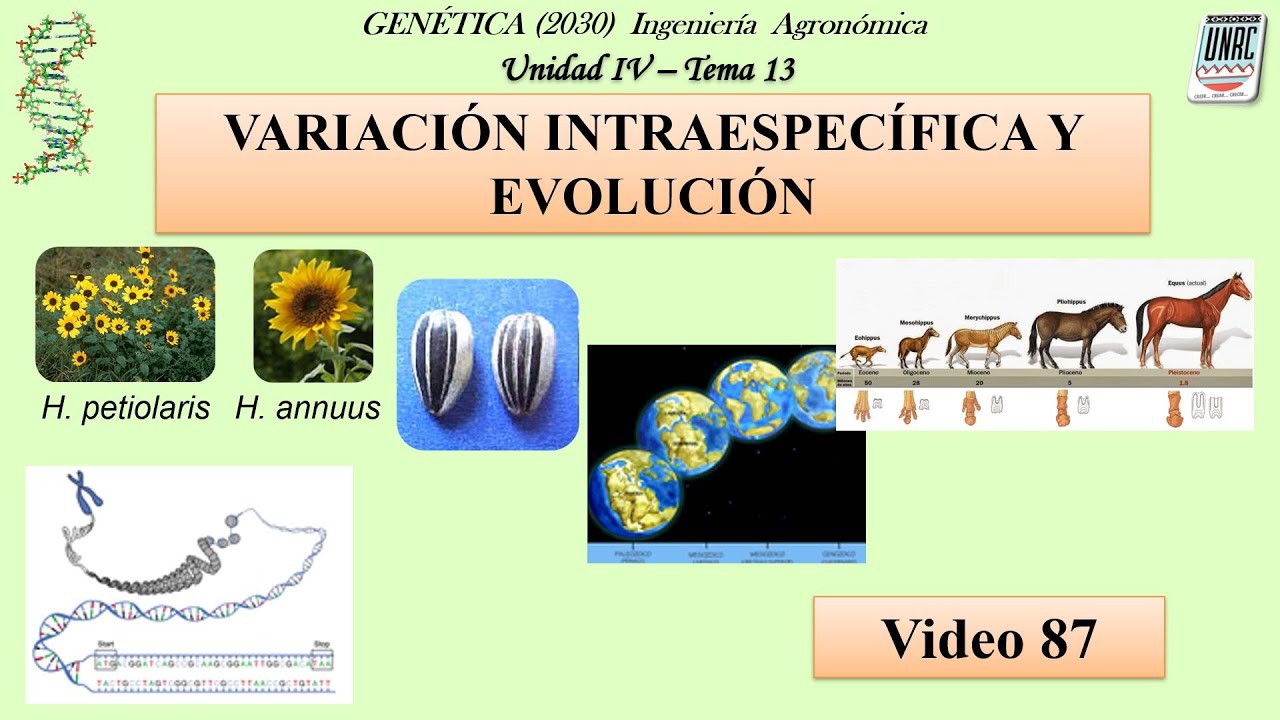 90 Tema 13 Variación Intraespecífica y Evolución. Genética (Cód. 2030)