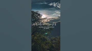 #تلاوة_خاشعة #اكسبلور #quran #راحة_نفسية #تلاوة_هادئة #لايك #تيك_توك #ياسر_الدوسري #quran