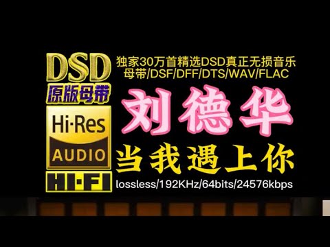 经典粤语歌曲刘德华：当我遇上你DSD无损版