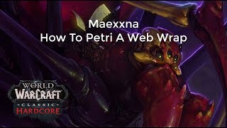 HC WoW - Maexxna How To Petri The Web Spray