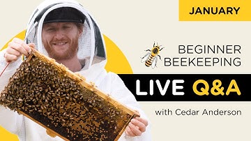 Beginner Beekeeping live Q&A with Cedar Anderson