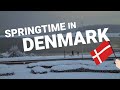 SNOW in DENMARK - SPRINGTIME 2022 🇩🇰🌱❄️