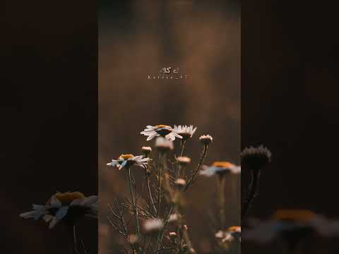 و ليه زعلان و ليه تعبان يا عم يغوروا بعيوبهم 