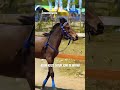 kuda jatuh joki di arena #kudaderby #race #pacuankuda #racing #horse #beranda