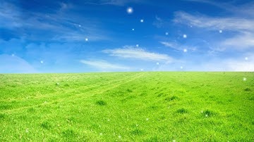 الجزء الخامس عشر/سورة الإسراء والكهف