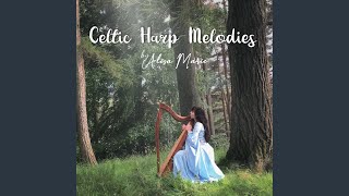 King of the Fairies - Alisa Marie