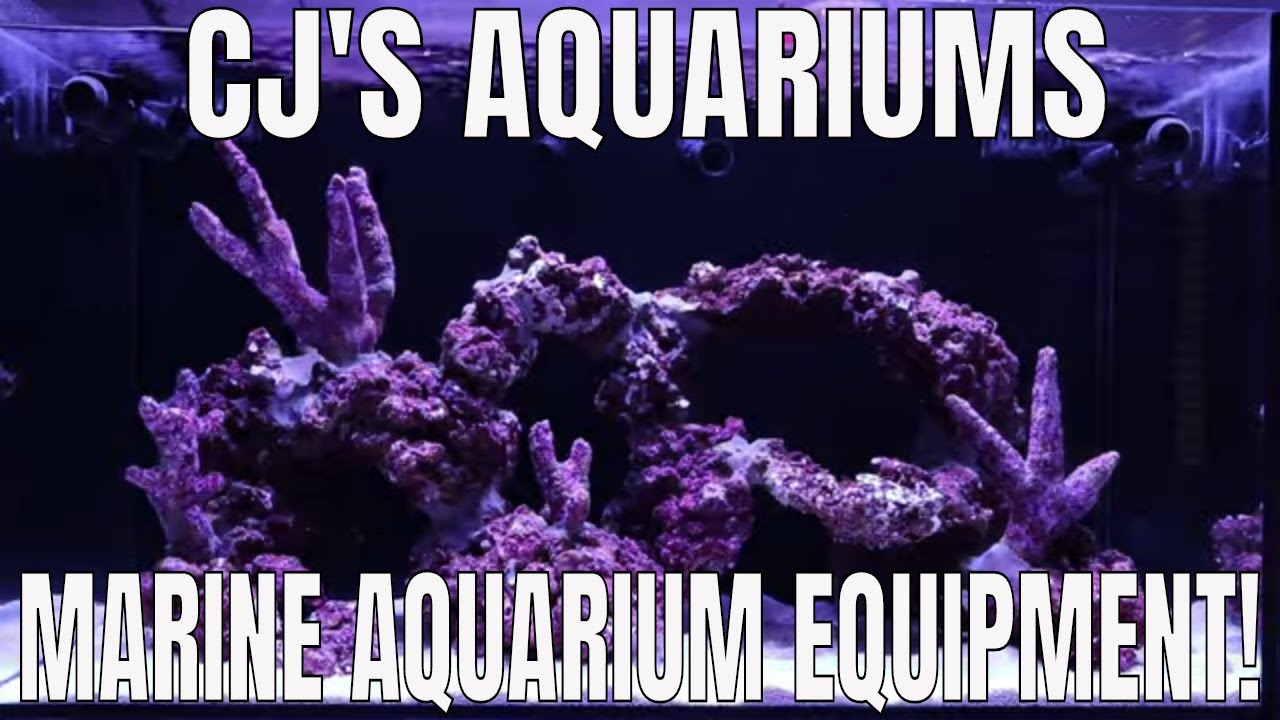 CJ'S AQUARIUMS marine aquarium equipment YouTube