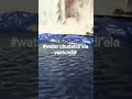 #hi friends water chudandi ela vastundi#Reshma Reshu vlogs####