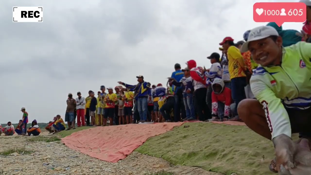 PERANG MERPATI BALAP