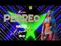 MiX Perreo Hasta El Suelo ❌ Bichota, Reloj, Jeans, Despeinada, Dakiti, mas ❌DJ FESTA 2020 vol 02