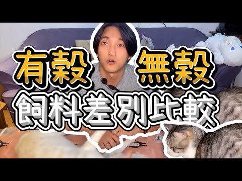 犬貓飼料｜無穀飼料一定比有穀飼料好嗎？破除迷思！【瘋寵懶人包ep.4】