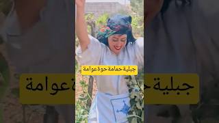 جبلية حمامة حوةعوامه