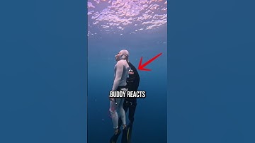 Deep Dive Gone WRONG - Diver BLACKED OUT #shorts