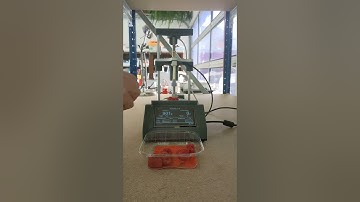 Testing raspberry with Agrosta belle 2 texture analyzer