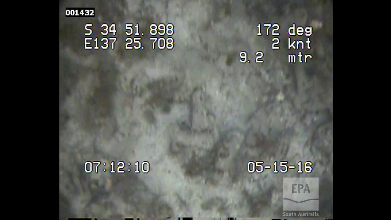 EPA Marine Aquatic Ecosystem Condition Report, SSG, Hardwicke Bay m0130, Wardang