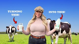 WHERE MILK COMES FROM! A farmers perspective! by Evie Gibbons 17,137 views 2 months ago 12 minutes, 46 seconds