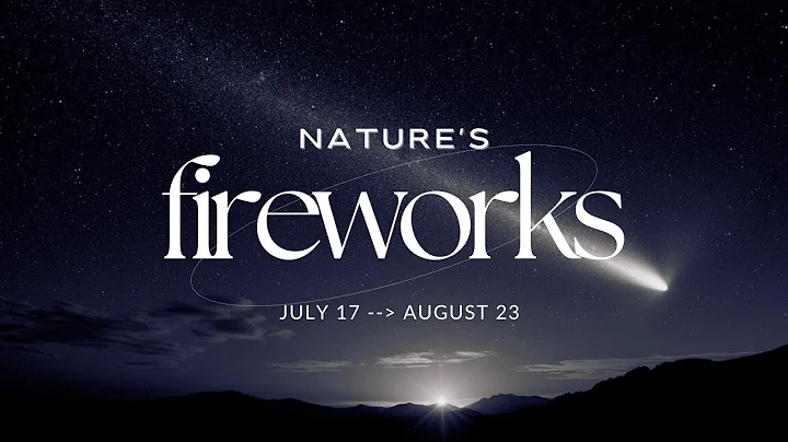 Perseid Meteor Shower 2025: 8 Beginner Tips for Watching the Shooting Stars