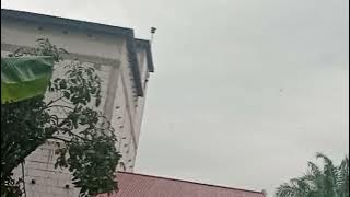 pjw old   birahi muda anakan respos tipis tapi pasti