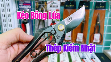 [ TẬP 676 ] KÉO CẮT CÀNH BÔNG LÚA MURAHISHA 200MM NỘI ĐỊA NHẬT BẢN