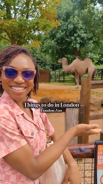 is-london-zoo-worth-visiting-my-honest-review-youtube