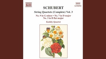 String Quartet No. 7 in D Major, D. 94: II. Andante con moto