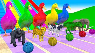 5 Giant Duck, Monkey, Piglet, chicken, dog, cat, cow, Sheep, Transfiguration funny animal 2024 🌵