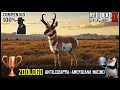 Red Dead Redemption 2: Antilocapra Americana Macho + Compêndio 100% | Troféu Zoólogo