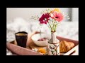 Songs to listen to while doing yoga and meditation | Meditation Music | Relaxing Music