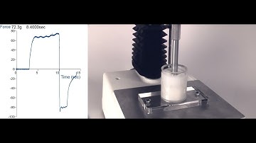Back Extrusion Rig | Measure consistency of contained semi-solid materials using a Texture Analyser