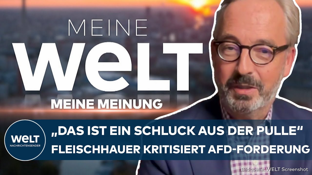 JAN FLEISCHHAUER: AfD-Rentenforderung ist "ein Schluck aus der Pulle" | MEINUNG
