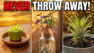 25 Kitchen scraps You Should NEVER Throw Away( They Regrow into FREE food!)