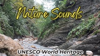 Exploring the Most Beautiful Place on Earth, Earth Nature Sounds, UNESCO World Heritage Site