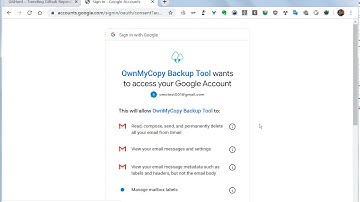 Demonstrating the OAuth 2.0 Gmail authorization process of OwnMyCopy Gmail Backup software