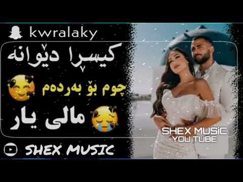 خۆشترین گۆرانی کیسرا دێوانە چومە بەردەم ماڵی یار بەشەرتی داوڵوند