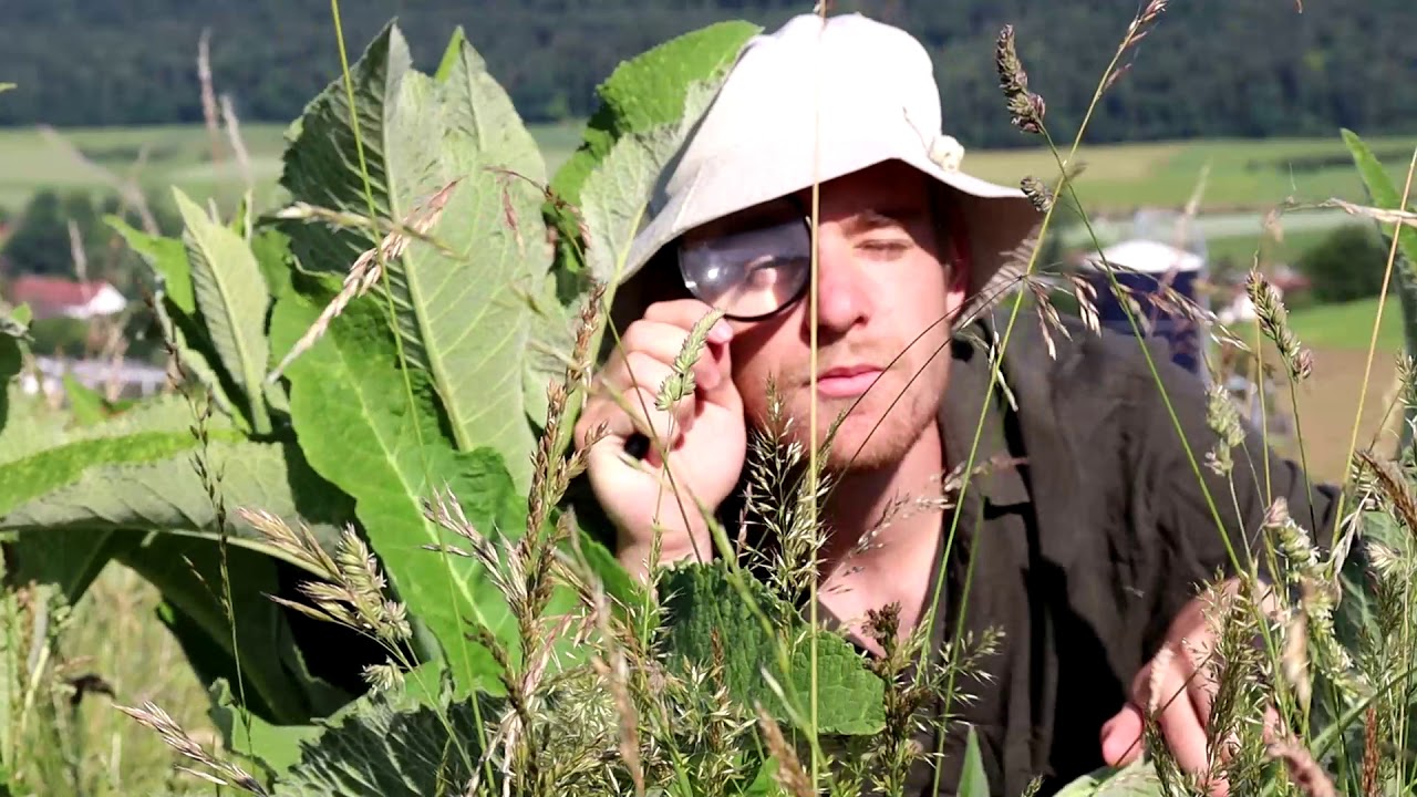 Trailer Sommerlager 2020 Jubla Frick