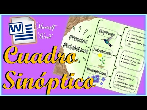 COMO HACER UN CUADRO SINOPTICO EN WORD CUADRO SINOPTICO EN WORD BONITO APUNTES BONITOS YouTube