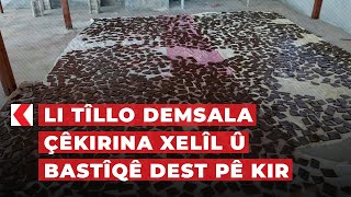 Li Tîllo demsala çêkirina xelîl û bastîqê dest pê kir