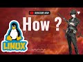Is Wuthering Waves Playable on Linux?