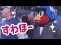 神宮球場⚾️Ys勝利の瞬間2026/06/03