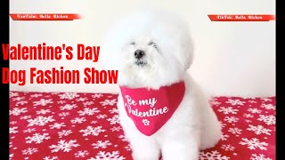 Dog valentines day party | Dog valentines day | Dog fashion show 2022