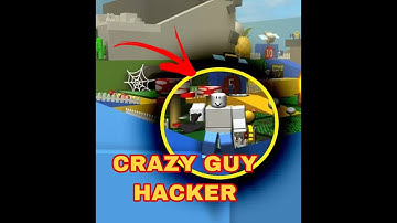 I SAW A CRAZY HACKER IN BEE SWARM SIMULATOR