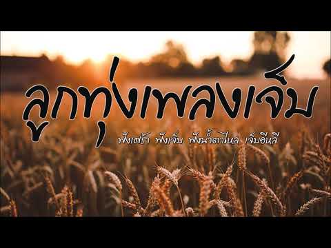  เพลง ลูกทุ่ง ธานินทร์