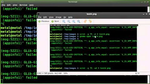 Screenshots from the command line - xwd - scrot - import - BASH - Linux