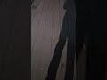 Shadows Passing Over Sparkling Pavers