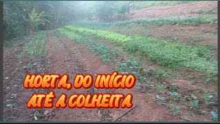 HORTA DO INÍCIO ATÉ A COLHEITA