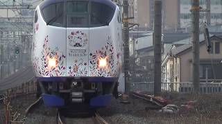 特急はるか4号京都行き「ハローキティはるか」ラッピング電車　 長岡京駅