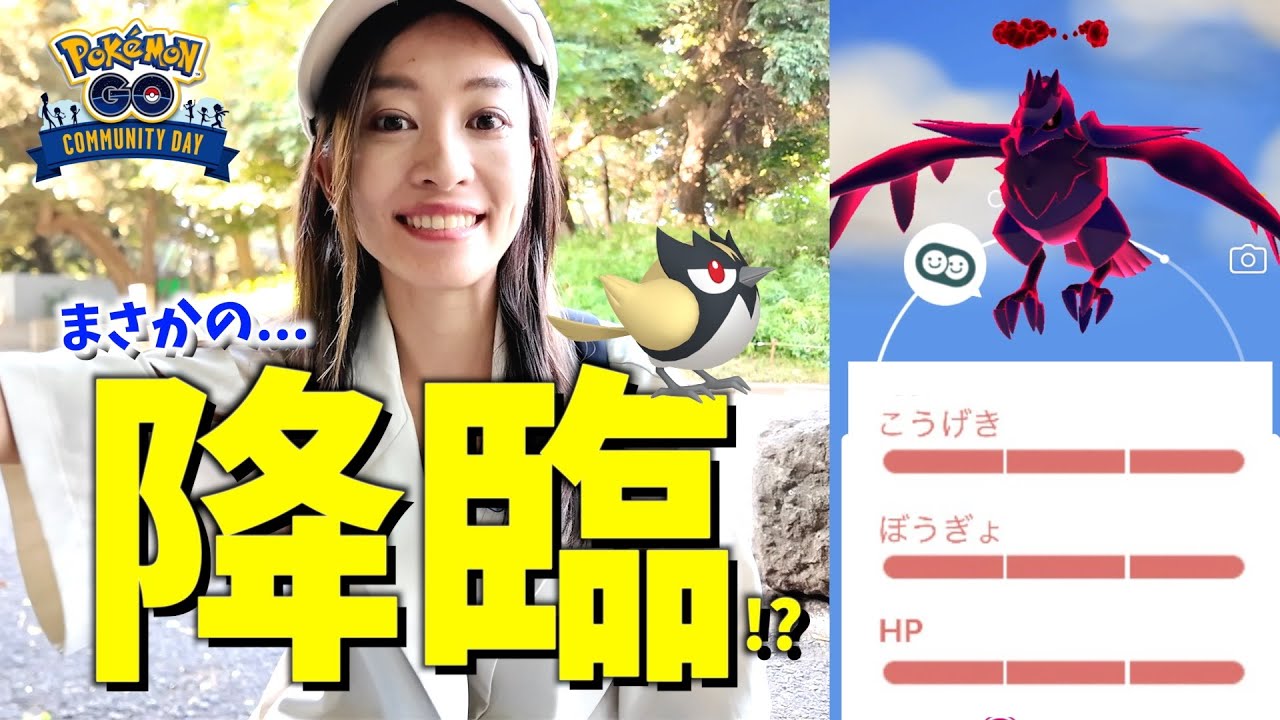 ポケモンスクラップ　23枚 Amazon.co.jp: マリモクラフト ポケットモンスター スクラップ