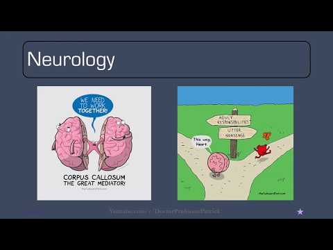 Doctor Professor Patrick-