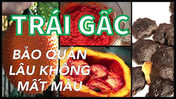 Cách bảo quản TRÁI GẤC/GAC FRUIT màu đẹp, lâu hư tại nhà