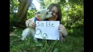 Faber Drive - Candy Store ft Ish (OFFICIAL LYRIC VIDEO)